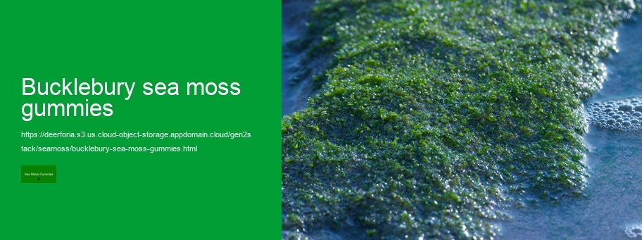 what are the best sea moss gummies